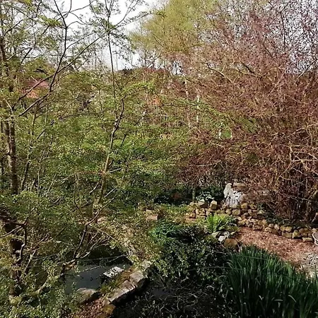 Luetje Moew - Dachterrasse Und Ruhige Lage アパート